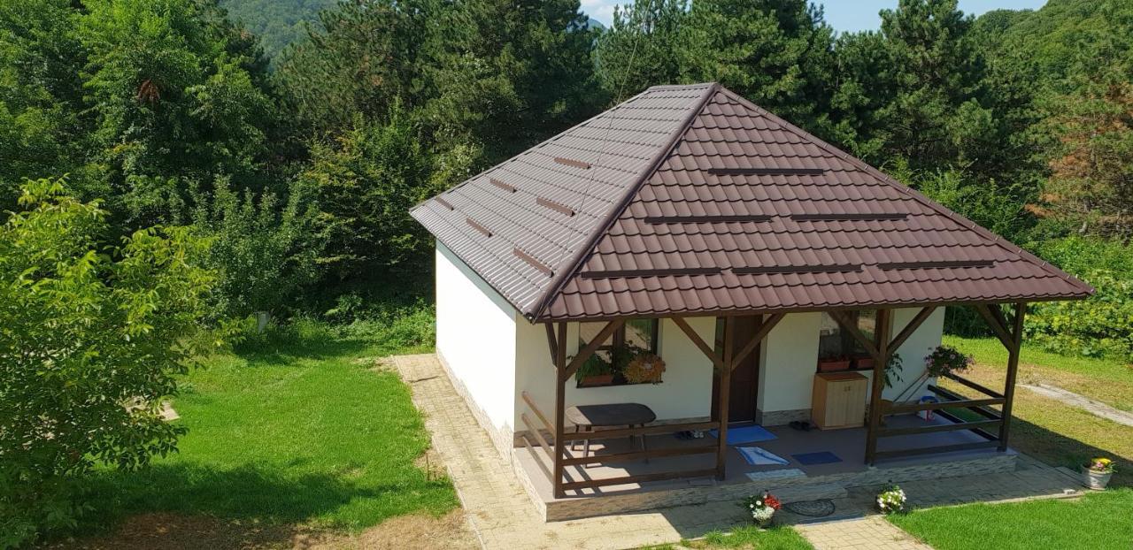 Limpedea Green House Бая-Маре Экстерьер фото